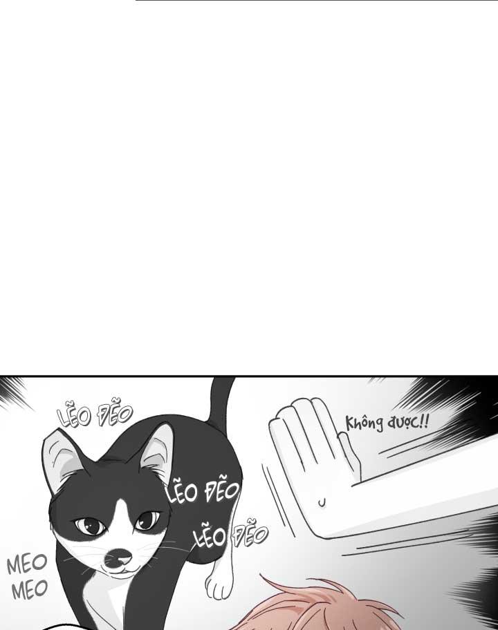 Đọc truyện NGƯỜI HÀNG XÓM QUYẾN RŨ CỦA TÔI - Chapter 3