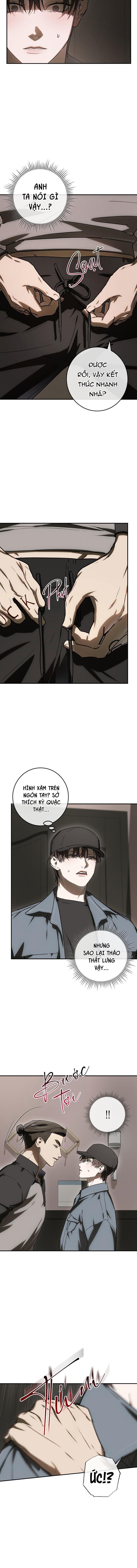 BẢO VẬT -  - Trang 13