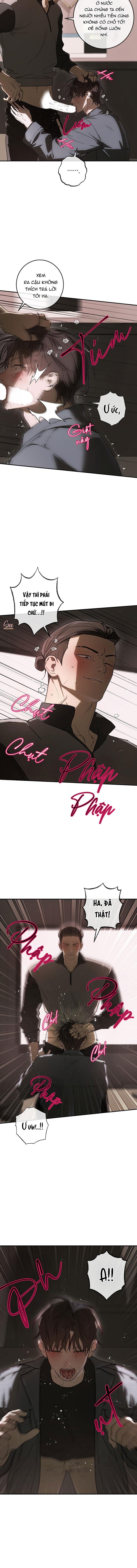 Đọc truyện BẢO VẬT - Chapter 38