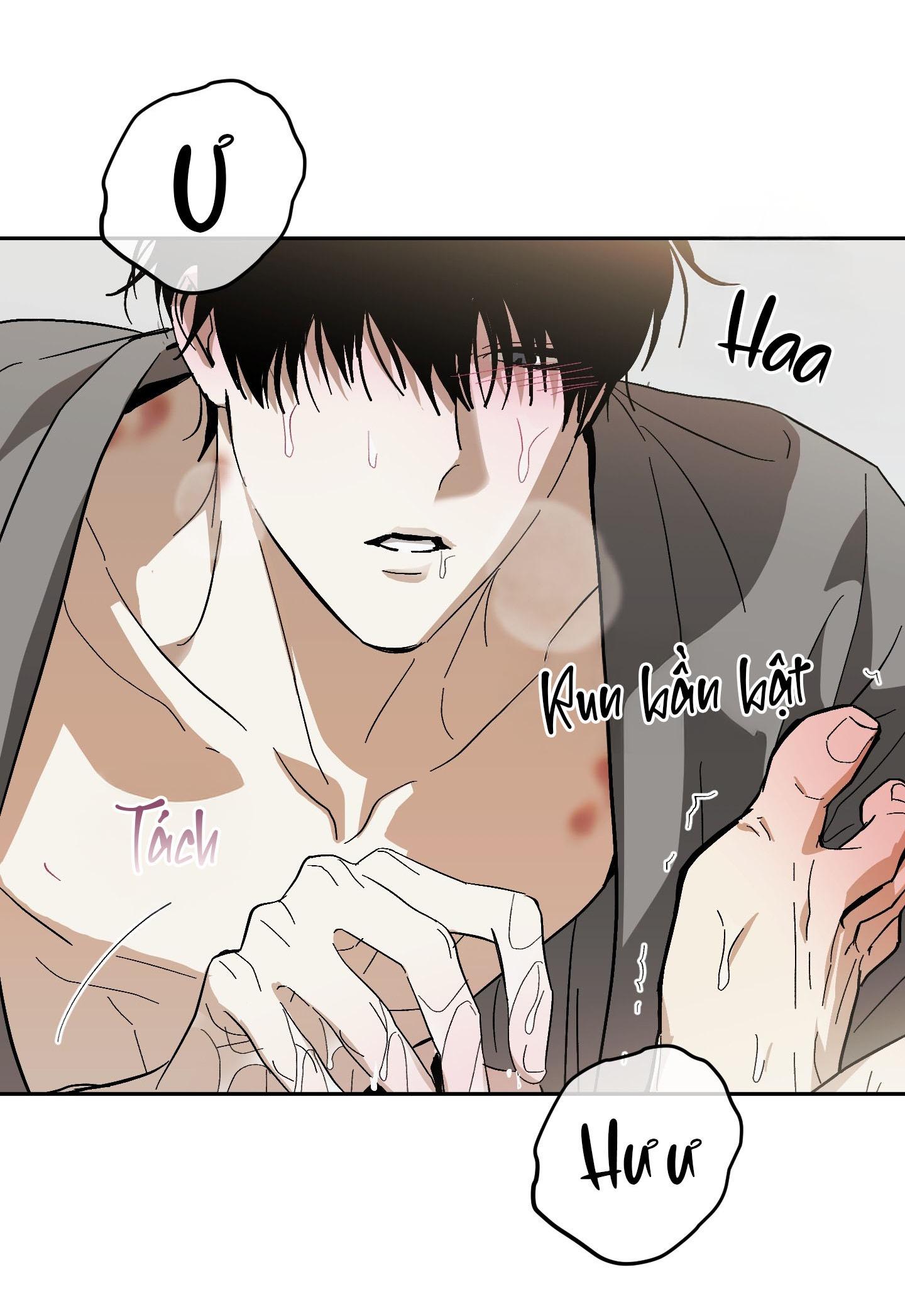 Đọc truyện TƯƠNG XỨNG - Chapter 14