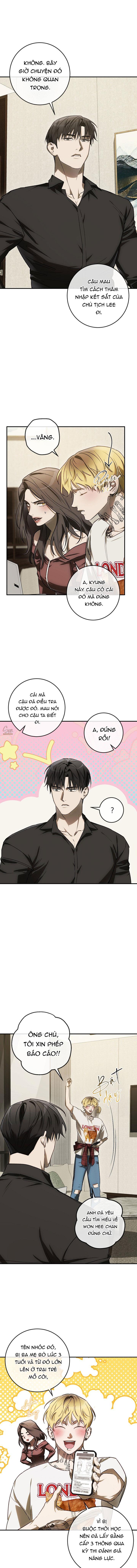 BẢO VẬT -  - Trang 3