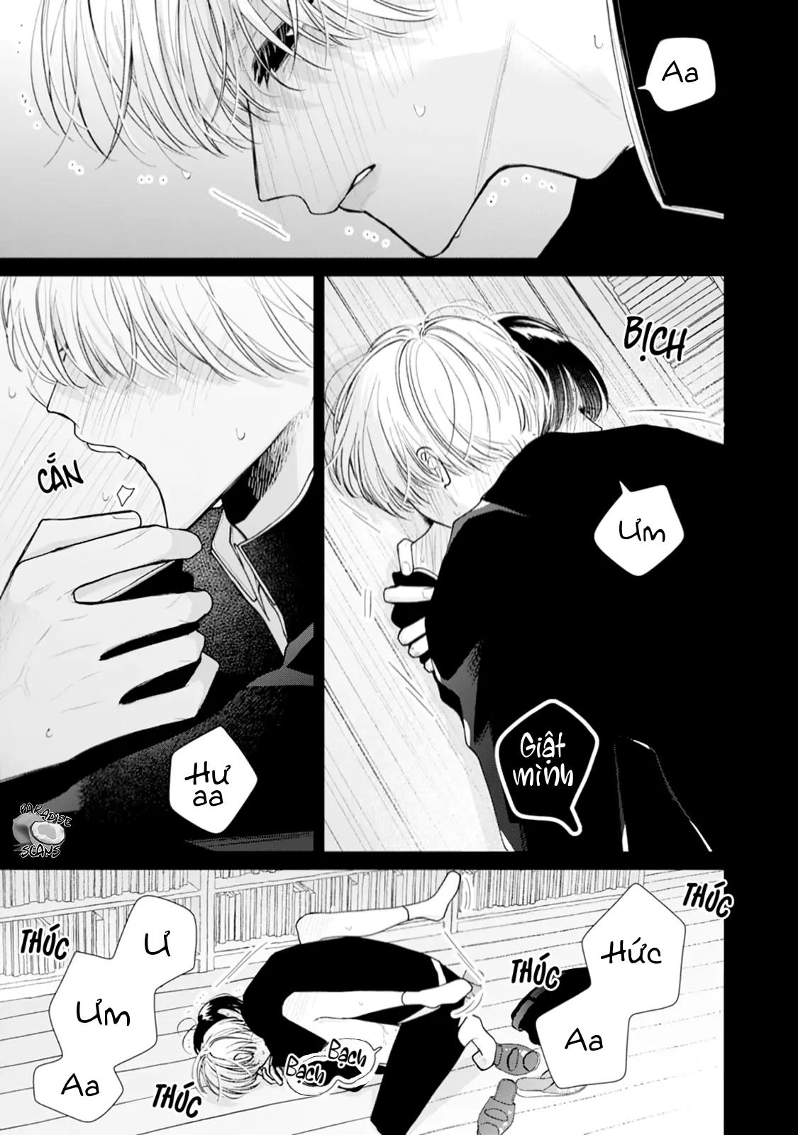 Đọc truyện Bó Hoa Dành Dành Và Sắc Xanh Mong Manh - Chapter 4
