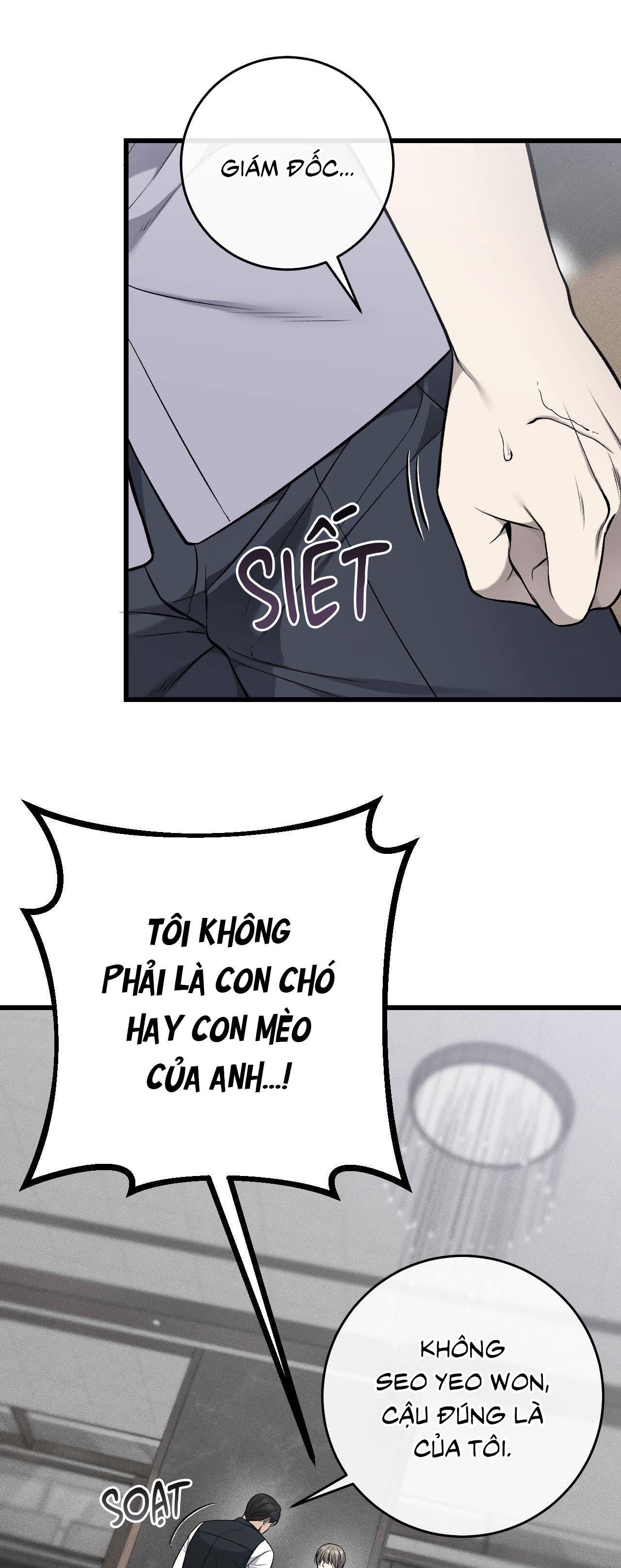 Đọc truyện XX ĐÊ TIỆN - Chapter 62