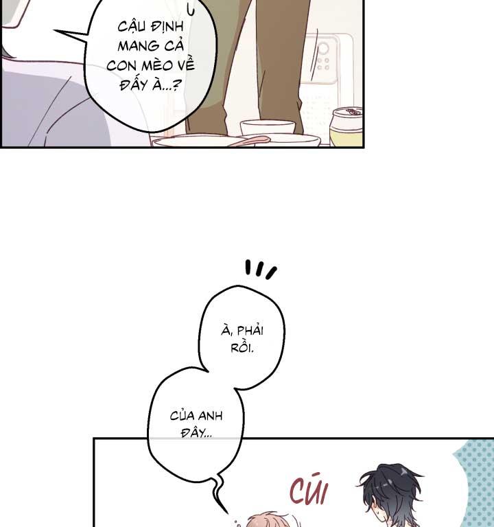 Đọc truyện NGƯỜI HÀNG XÓM QUYẾN RŨ CỦA TÔI - Chapter 3