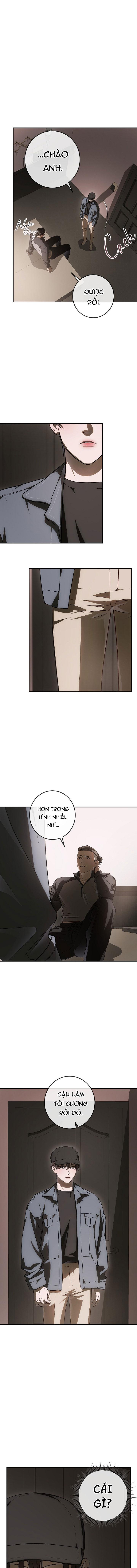 BẢO VẬT -  - Trang 12