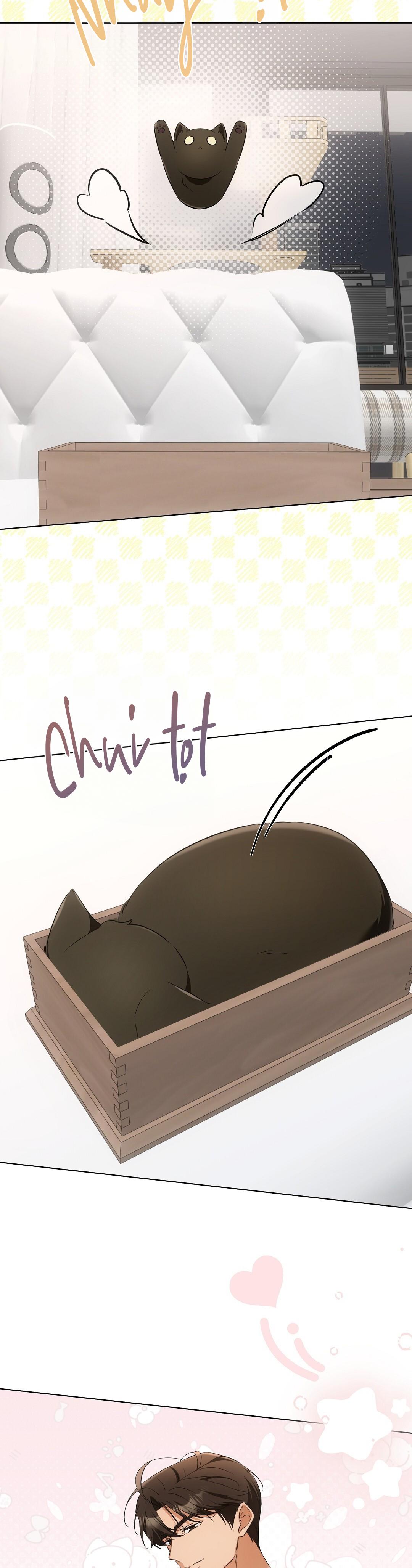 LIỆU PHÁP TRỊ LIỆU MÈO - Chapter 11 - Trang 6