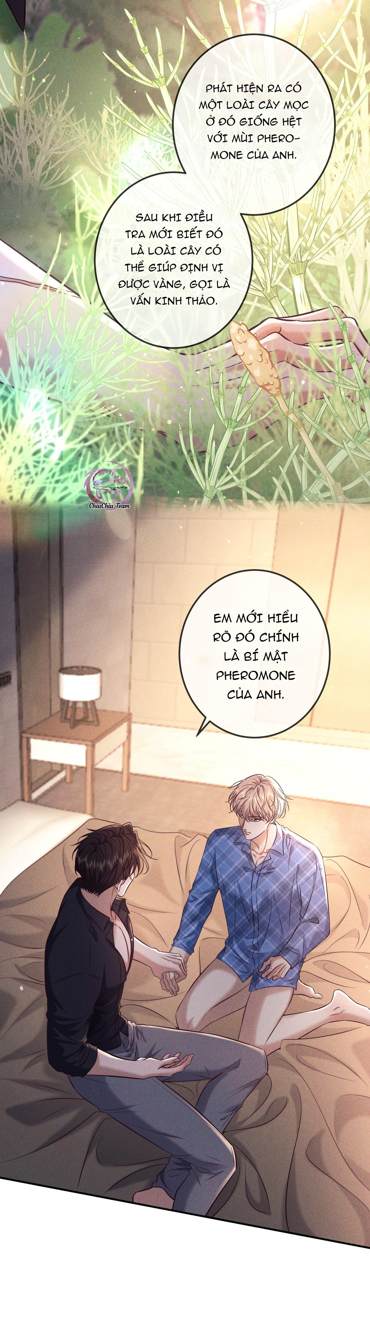 Cạn Tình - Chapter 81 - Trang 27