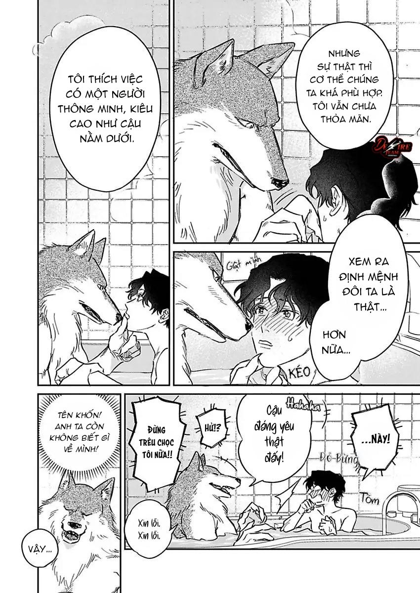 Tình Yêu Mãnh Liệt Của Ngài Sói - Chapter 3 - Trang 26