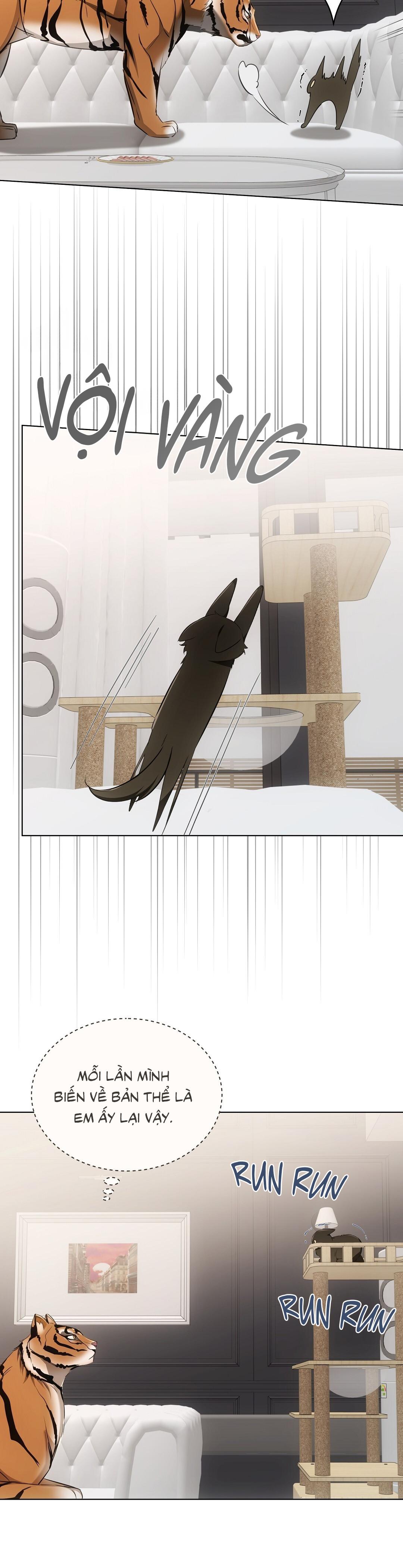 LIỆU PHÁP TRỊ LIỆU MÈO - Chapter 11 - Trang 54
