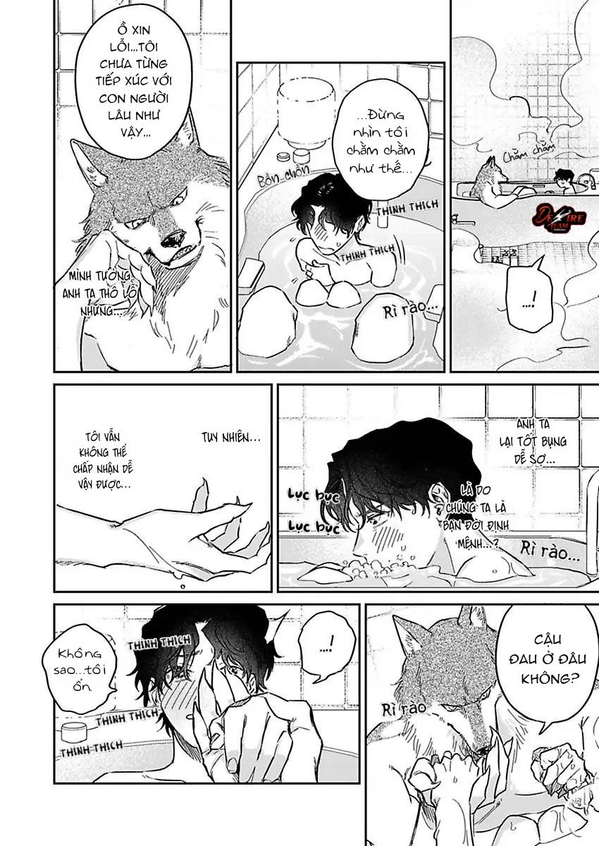 Tình Yêu Mãnh Liệt Của Ngài Sói - Chapter 3 - Trang 22