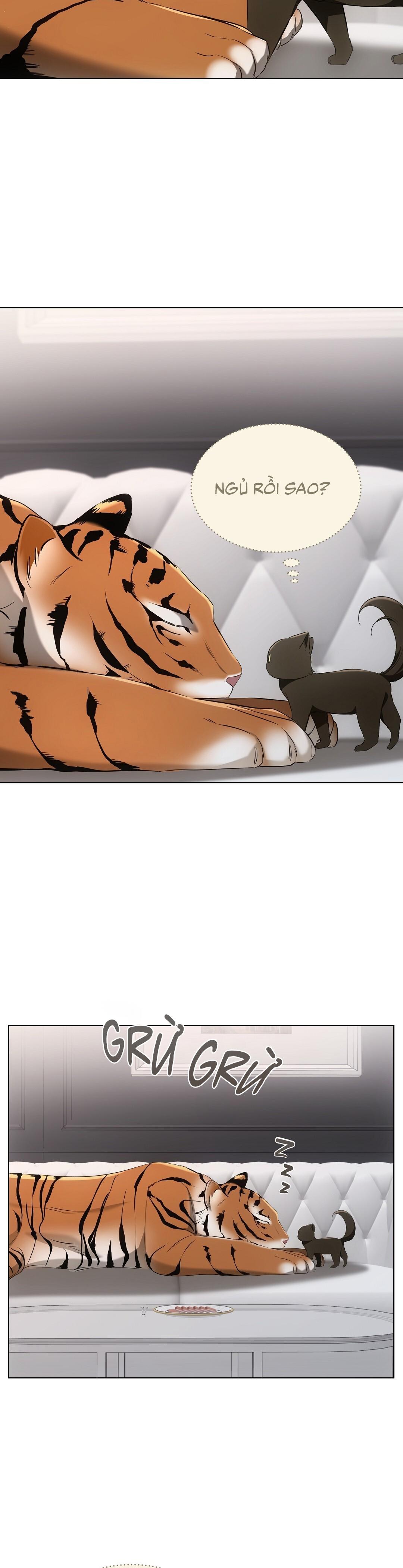 LIỆU PHÁP TRỊ LIỆU MÈO - Chapter 11 - Trang 60