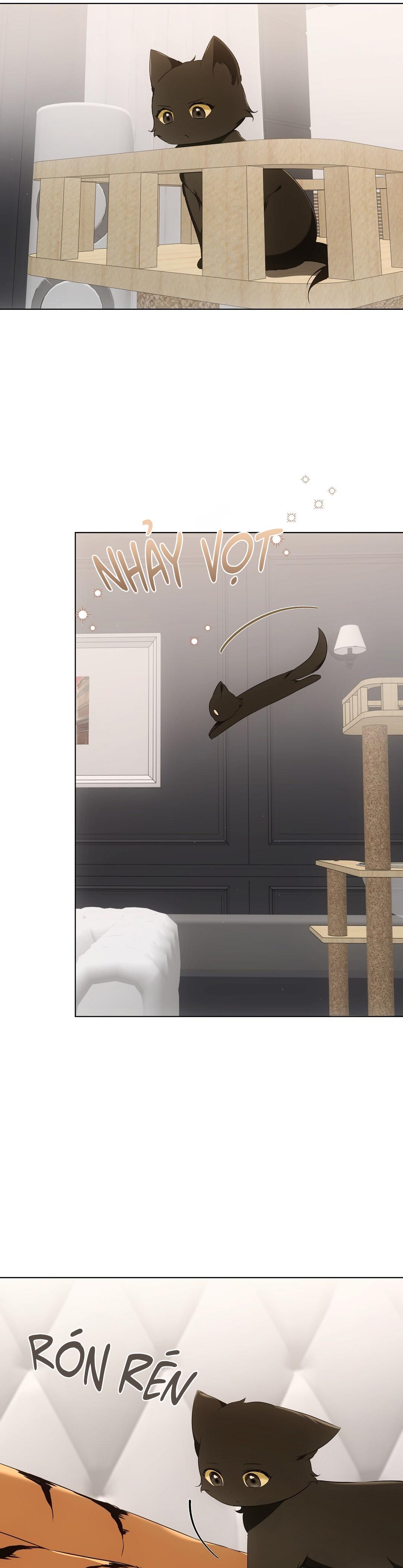 LIỆU PHÁP TRỊ LIỆU MÈO - Chapter 11 - Trang 58