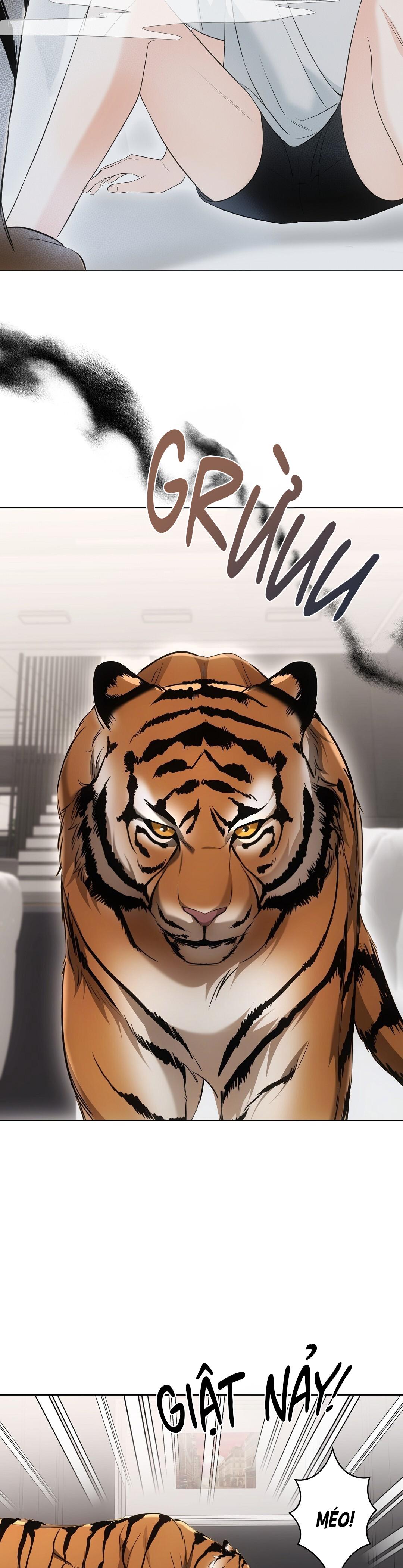 LIỆU PHÁP TRỊ LIỆU MÈO - Chapter 11 - Trang 52