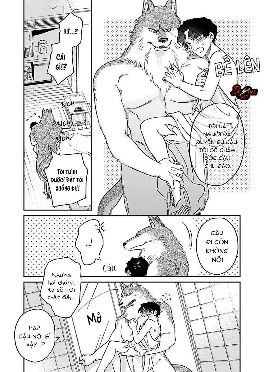 Tình Yêu Mãnh Liệt Của Ngài Sói - Chapter 3 - Trang 18