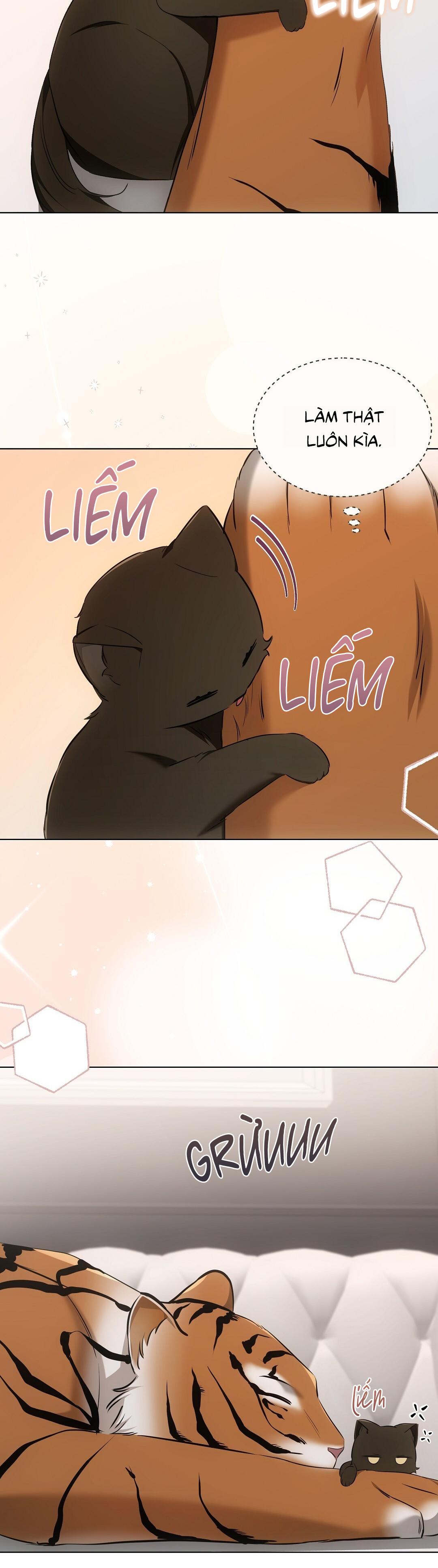 LIỆU PHÁP TRỊ LIỆU MÈO - Chapter 11 - Trang 66