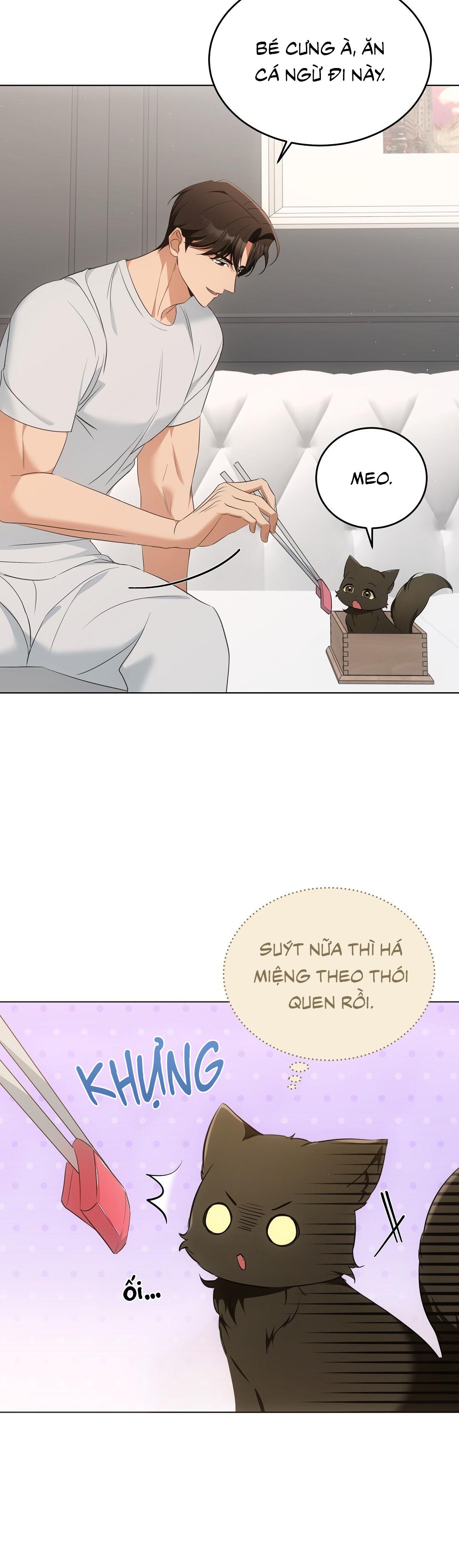 LIỆU PHÁP TRỊ LIỆU MÈO - Chapter 11 - Trang 14