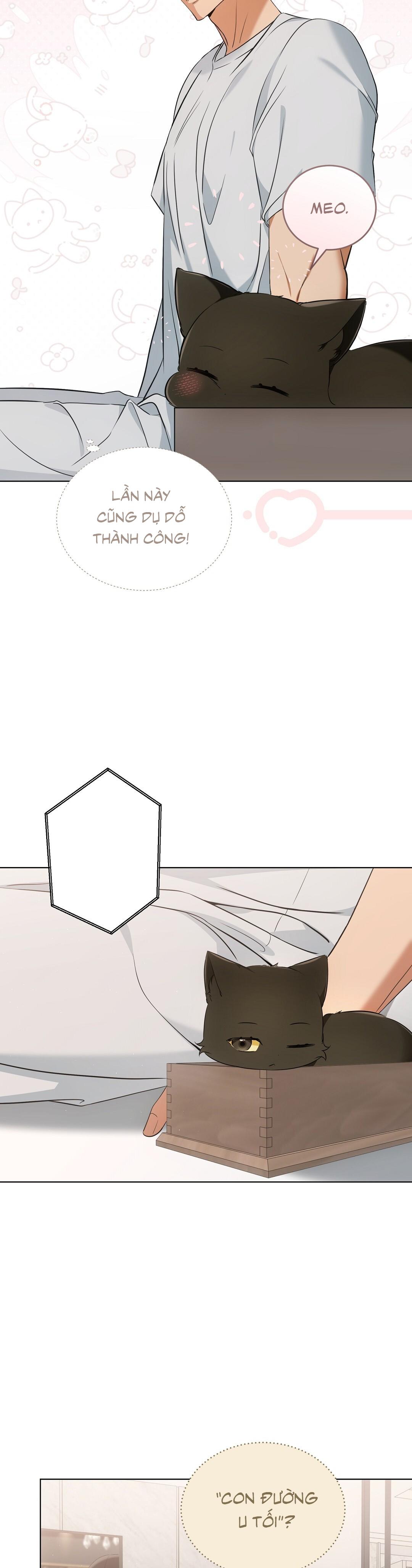 LIỆU PHÁP TRỊ LIỆU MÈO - Chapter 11 - Trang 8