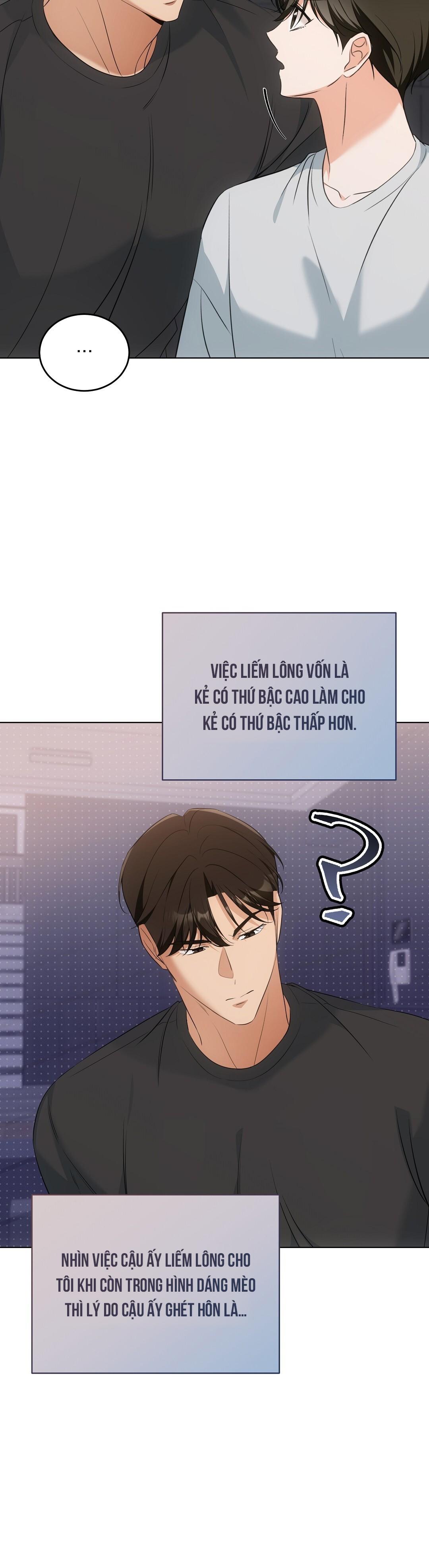 LIỆU PHÁP TRỊ LIỆU MÈO - Chapter 11 - Trang 36