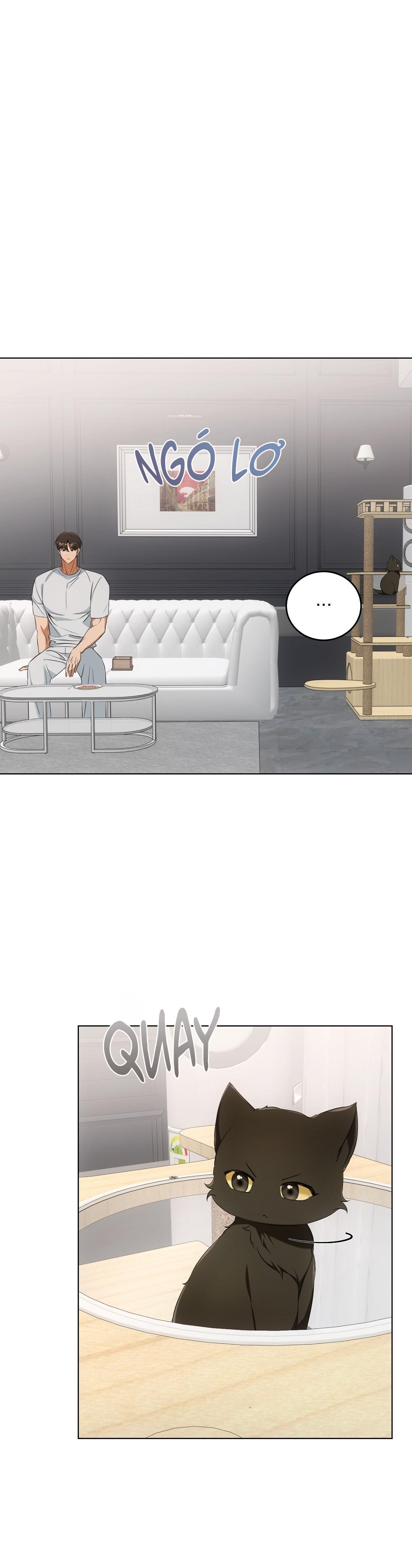 LIỆU PHÁP TRỊ LIỆU MÈO - Chapter 11 - Trang 2