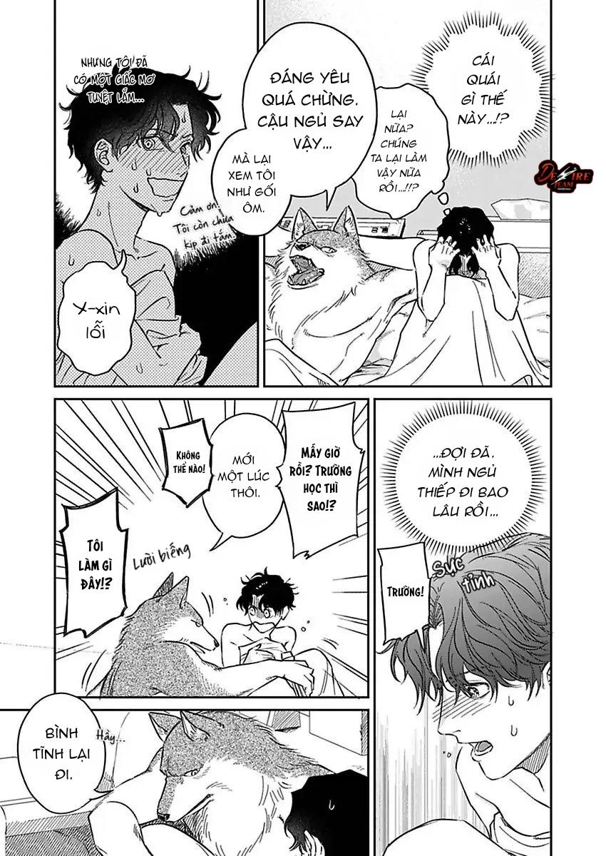 Tình Yêu Mãnh Liệt Của Ngài Sói - Chapter 3 - Trang 12