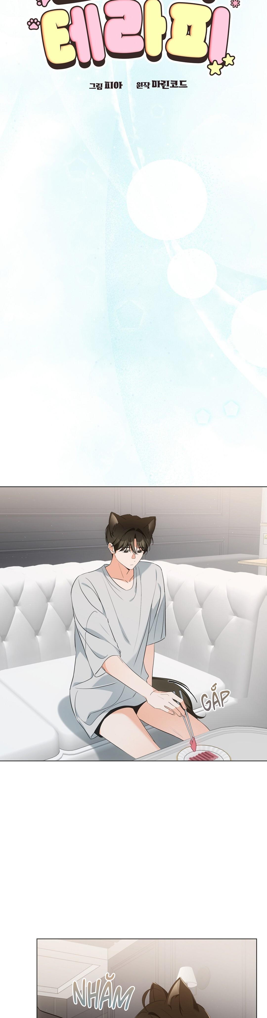 LIỆU PHÁP TRỊ LIỆU MÈO - Chapter 11 - Trang 24