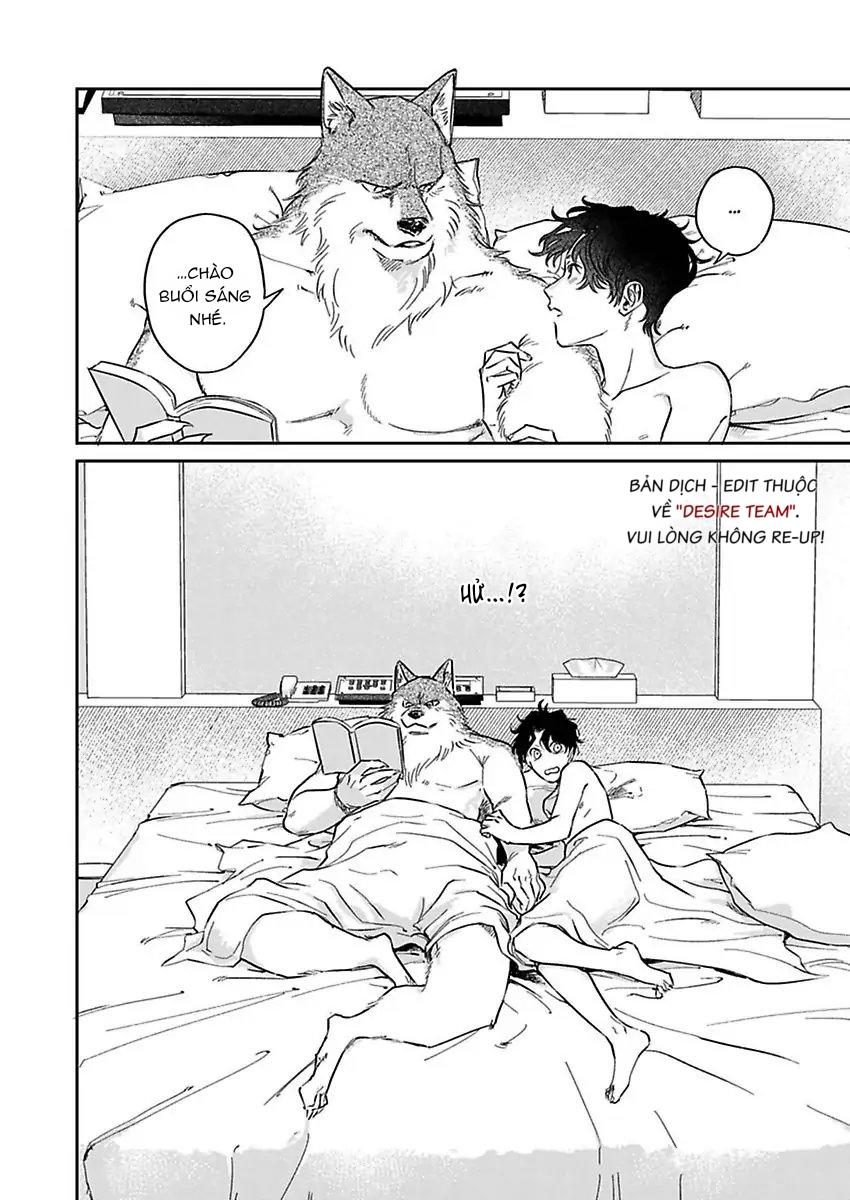 Tình Yêu Mãnh Liệt Của Ngài Sói - Chapter 3 - Trang 10