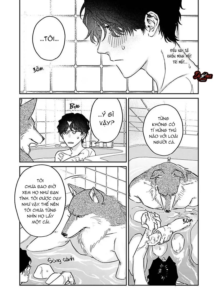 Tình Yêu Mãnh Liệt Của Ngài Sói - Chapter 3 - Trang 24