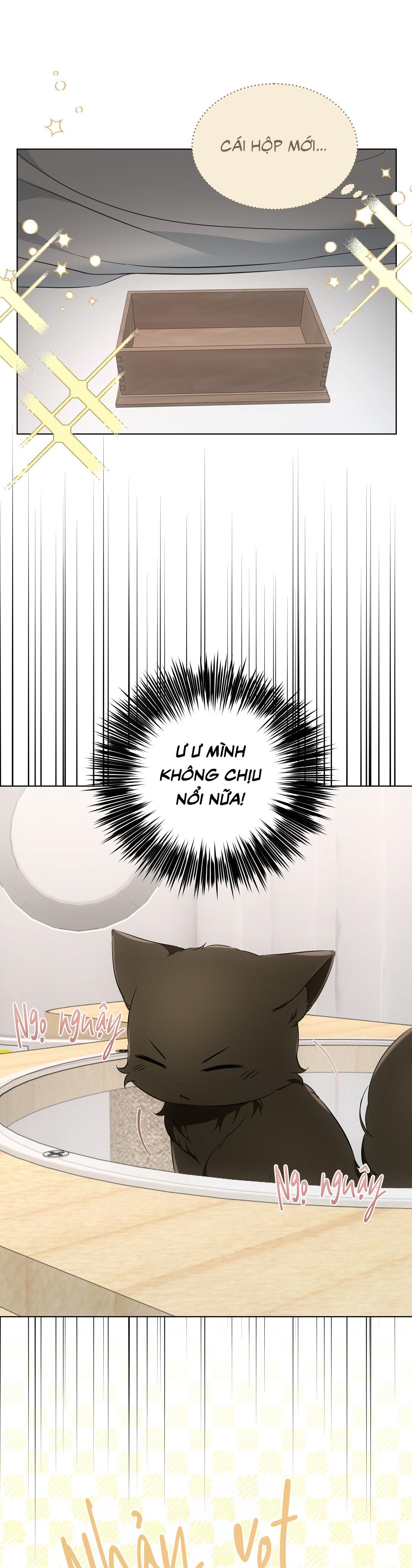 LIỆU PHÁP TRỊ LIỆU MÈO - Chapter 11 - Trang 4