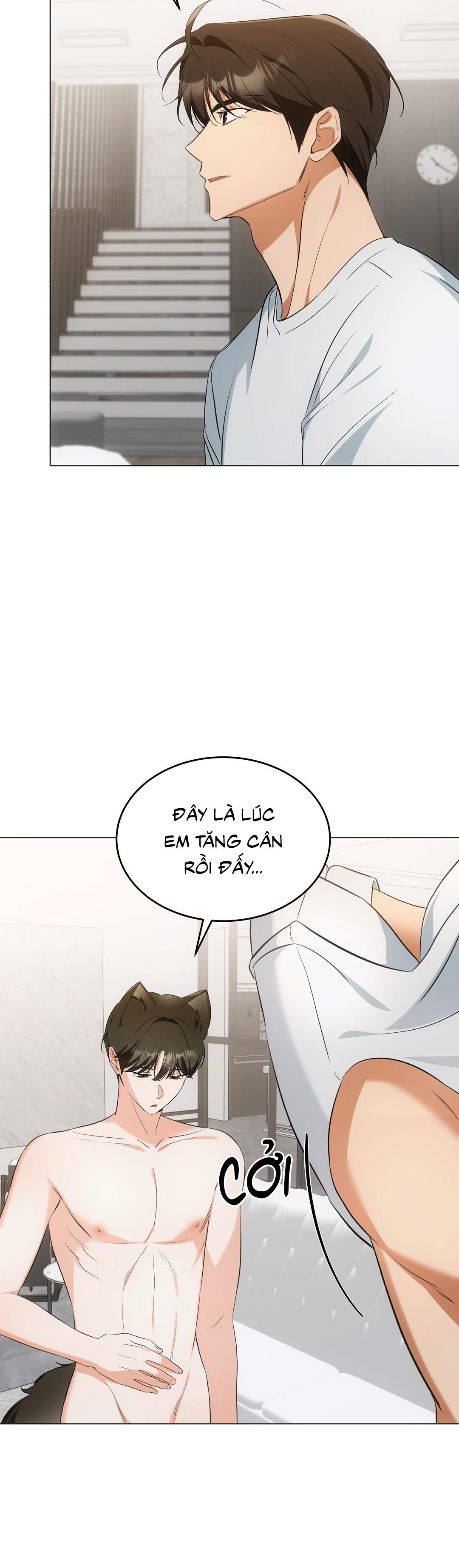 LIỆU PHÁP TRỊ LIỆU MÈO - Chapter 11 - Trang 20