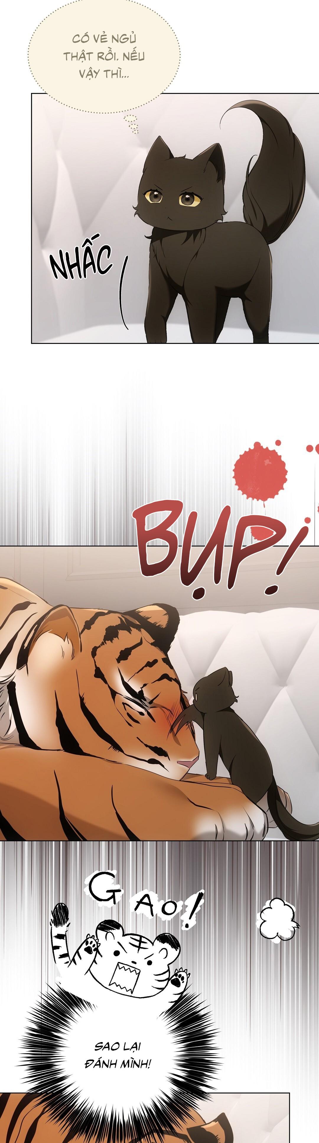 LIỆU PHÁP TRỊ LIỆU MÈO - Chapter 11 - Trang 62