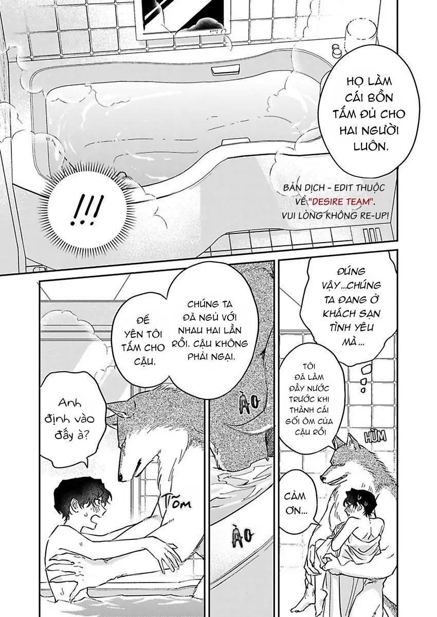 Tình Yêu Mãnh Liệt Của Ngài Sói - Chapter 3 - Trang 20