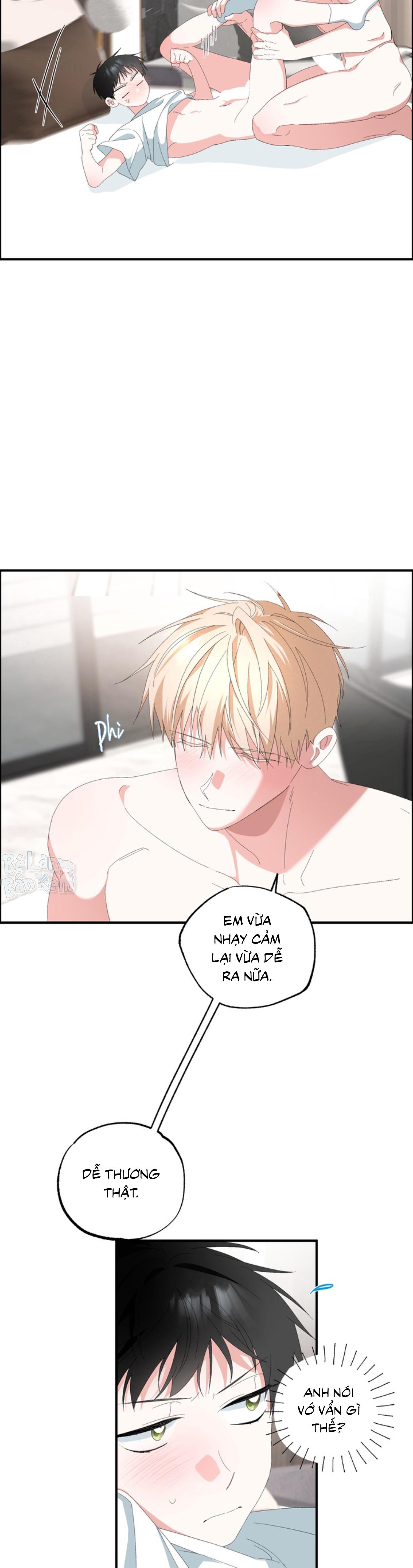 XIN HÃY YÊU THƯƠNG DÙ TÔI LÀ CHUỘT - H+++ - Trang 8