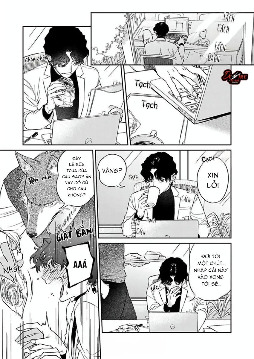 Tình Yêu Mãnh Liệt Của Ngài Sói - Chapter 4 - Trang 8