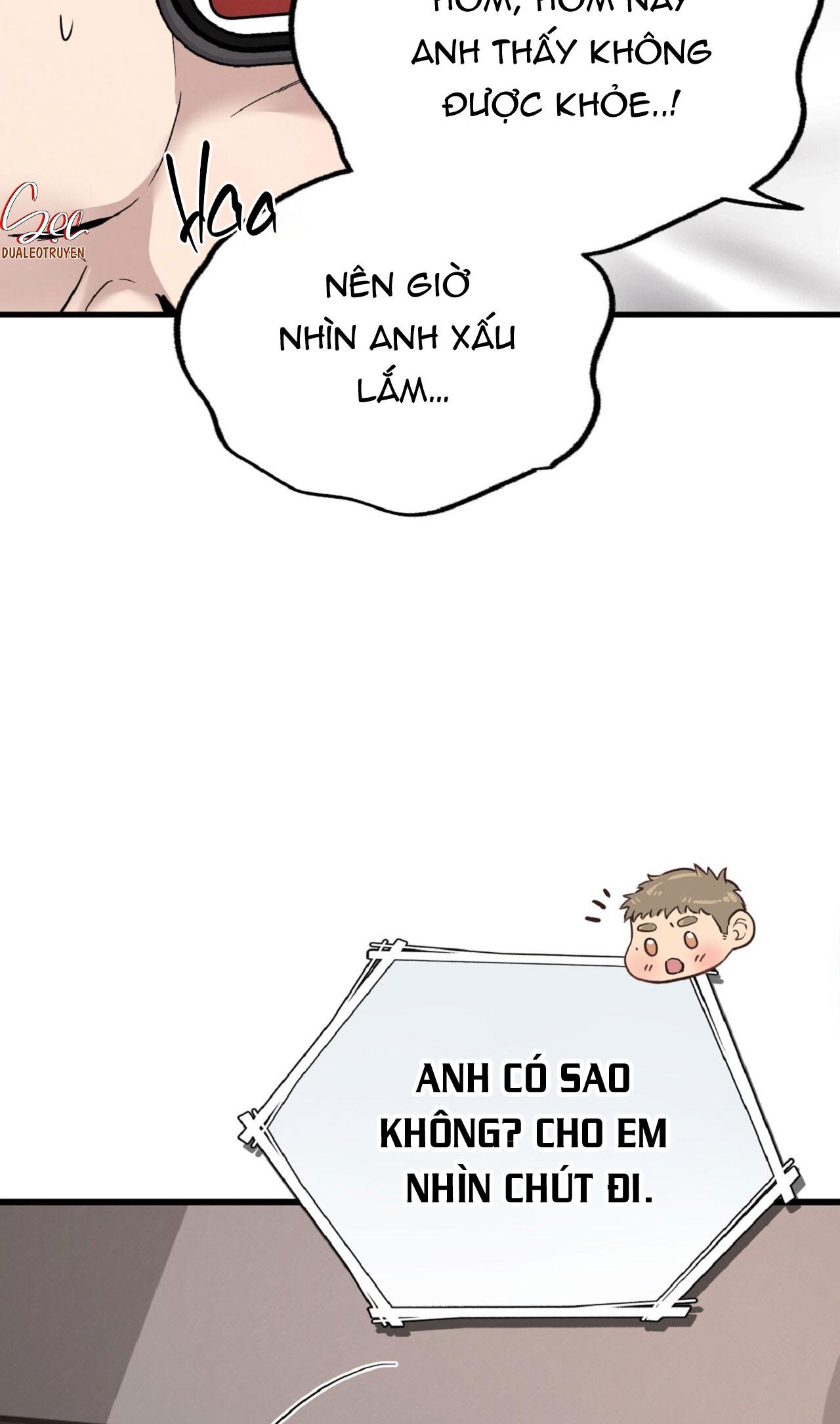 HONEY BEAR - Chapter 79 - Trang 12