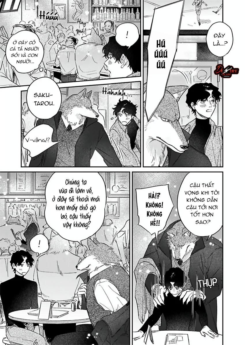 Tình Yêu Mãnh Liệt Của Ngài Sói - Chapter 4 - Trang 20