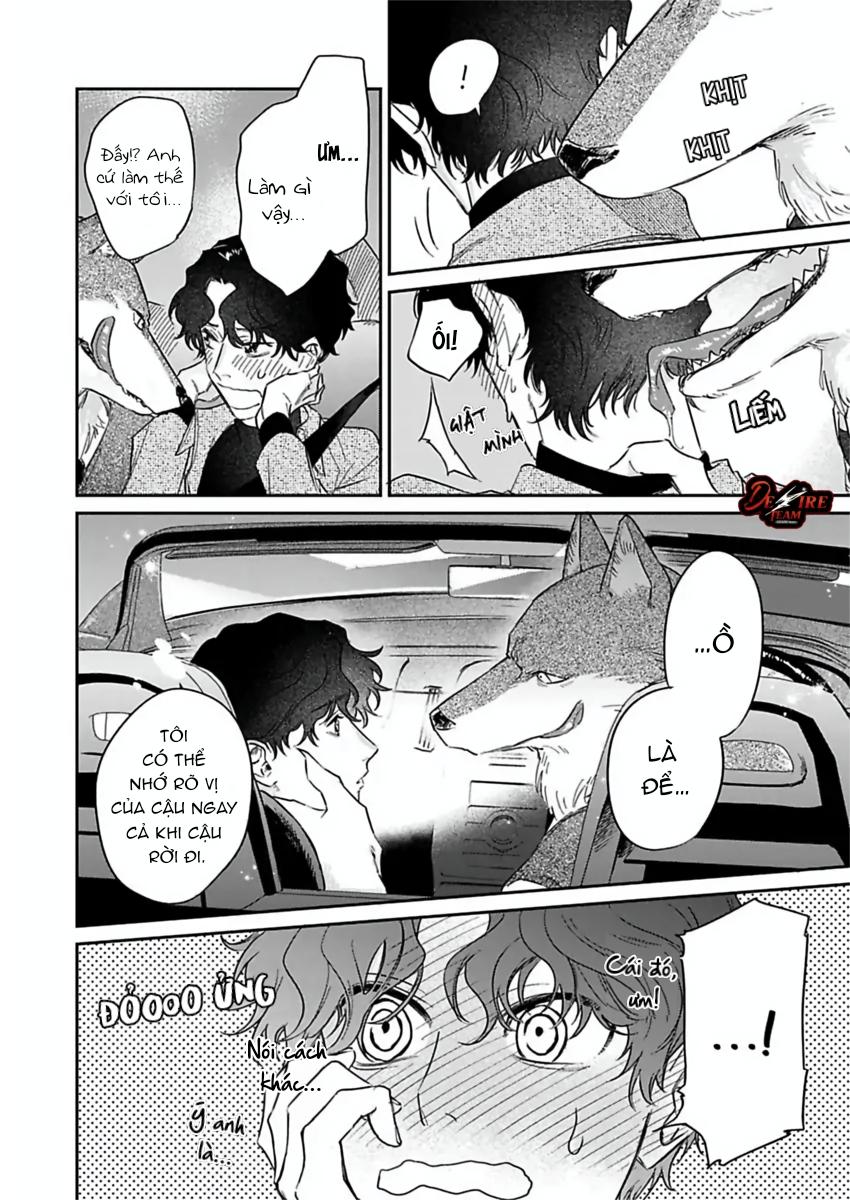 Tình Yêu Mãnh Liệt Của Ngài Sói - Chapter 4 - Trang 50