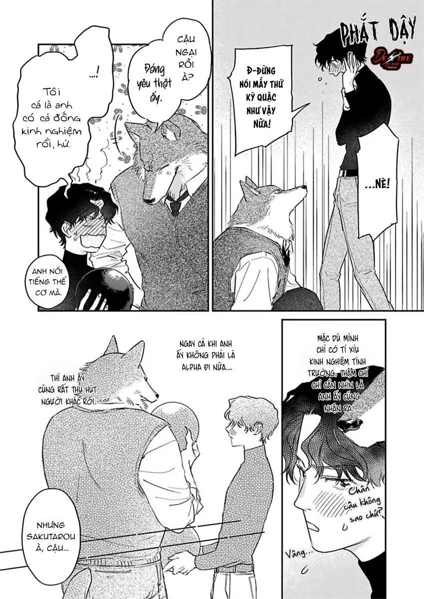 Tình Yêu Mãnh Liệt Của Ngài Sói - Chapter 4 - Trang 30