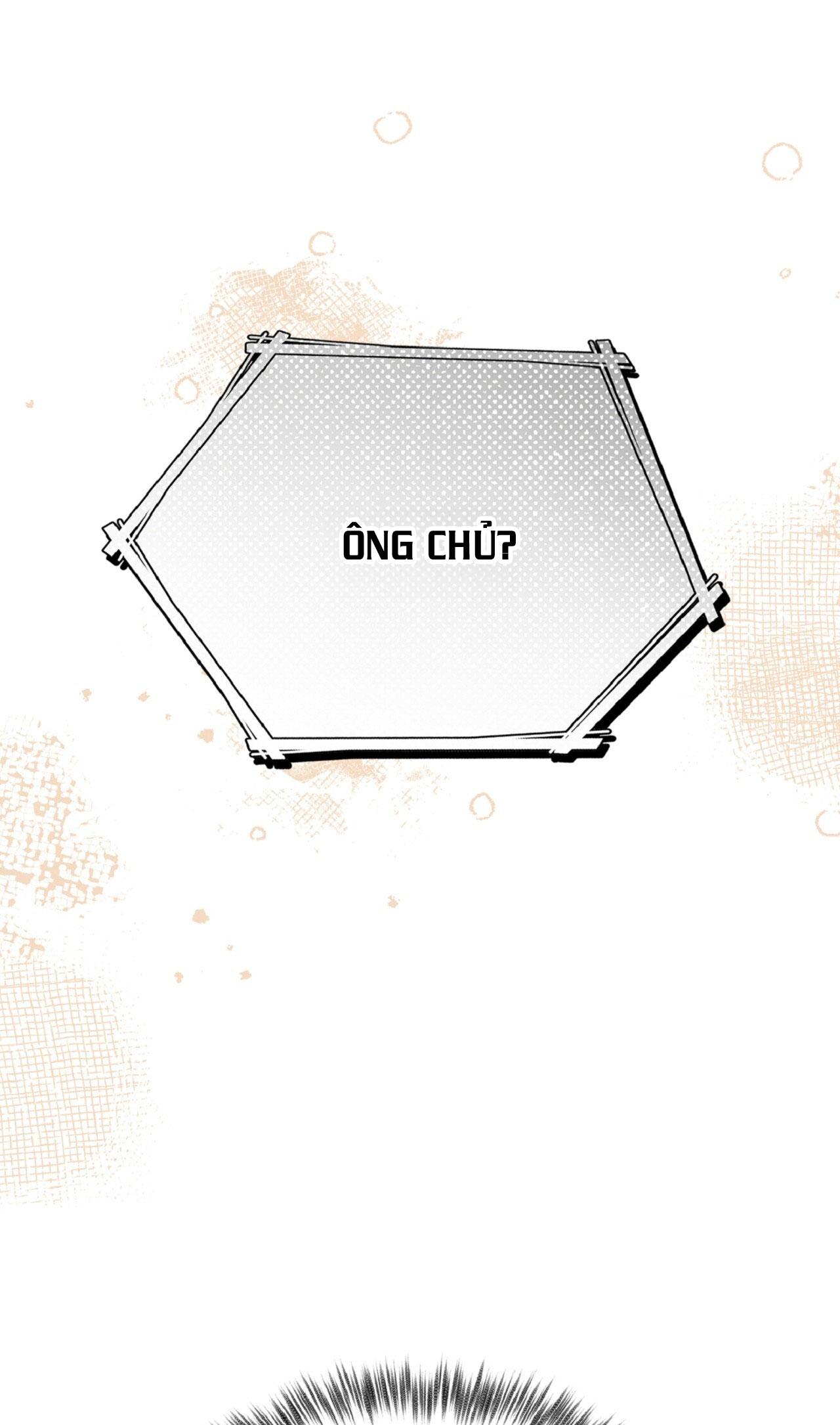 HONEY BEAR - Chapter 79 - Trang 4