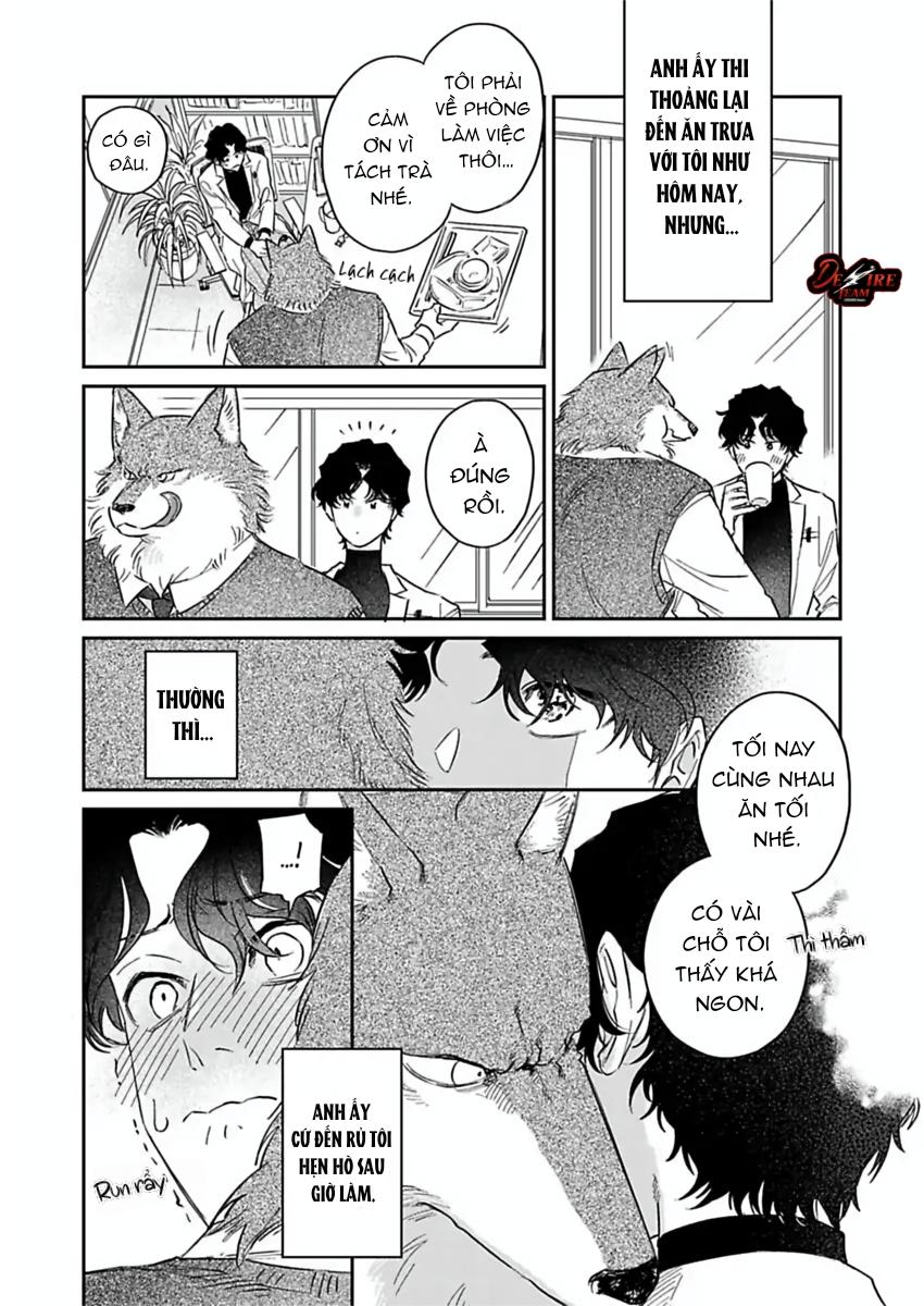 Tình Yêu Mãnh Liệt Của Ngài Sói - Chapter 4 - Trang 12