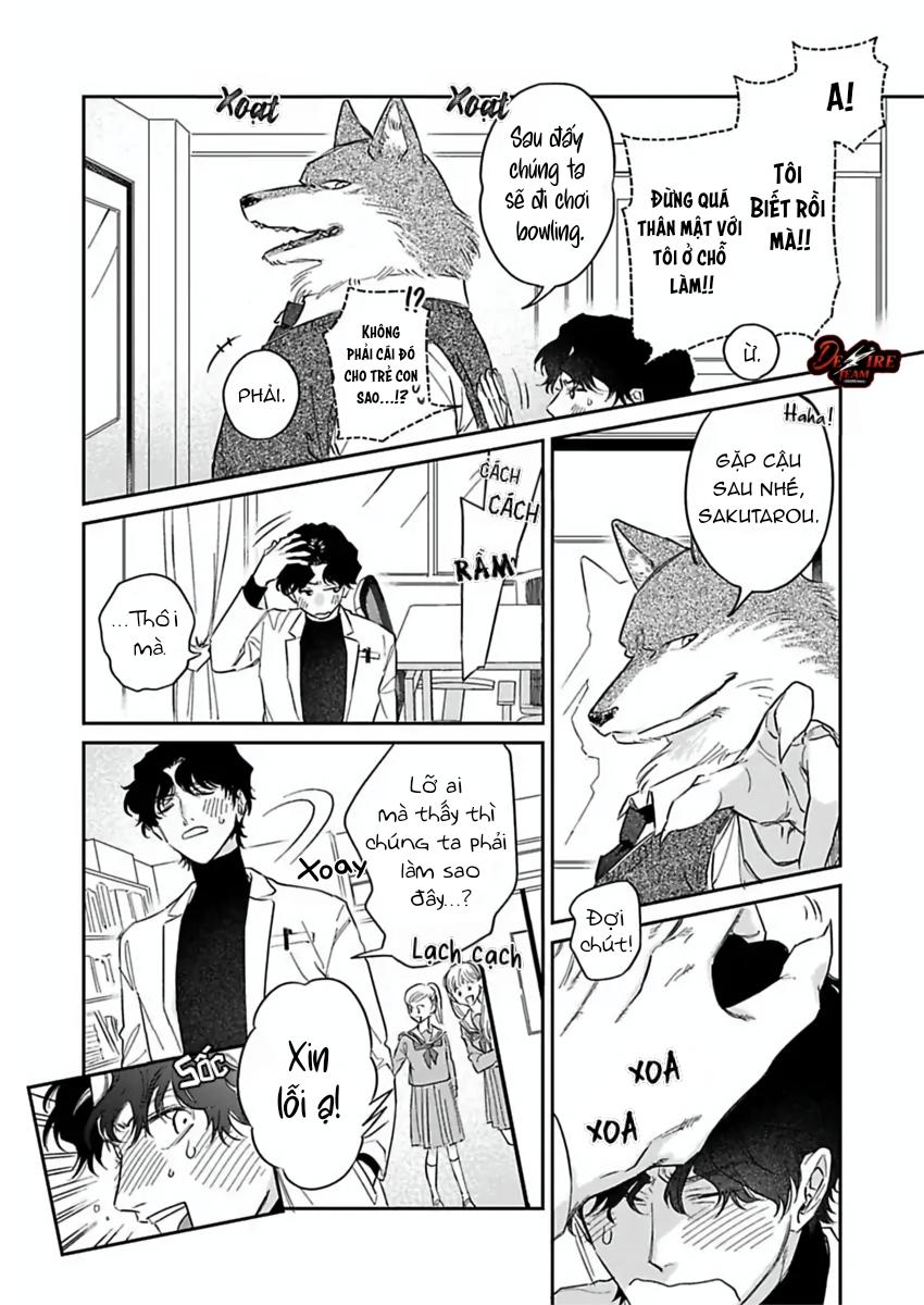 Tình Yêu Mãnh Liệt Của Ngài Sói - Chapter 4 - Trang 14
