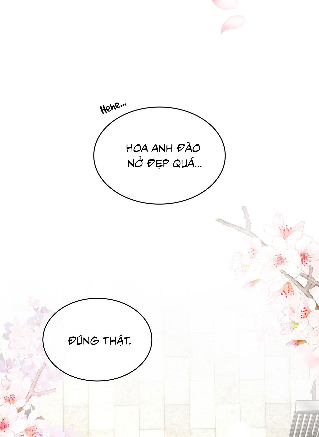 Đọc truyện Tôi Là Top Phụ Bị Điên Đây - Chapter 7