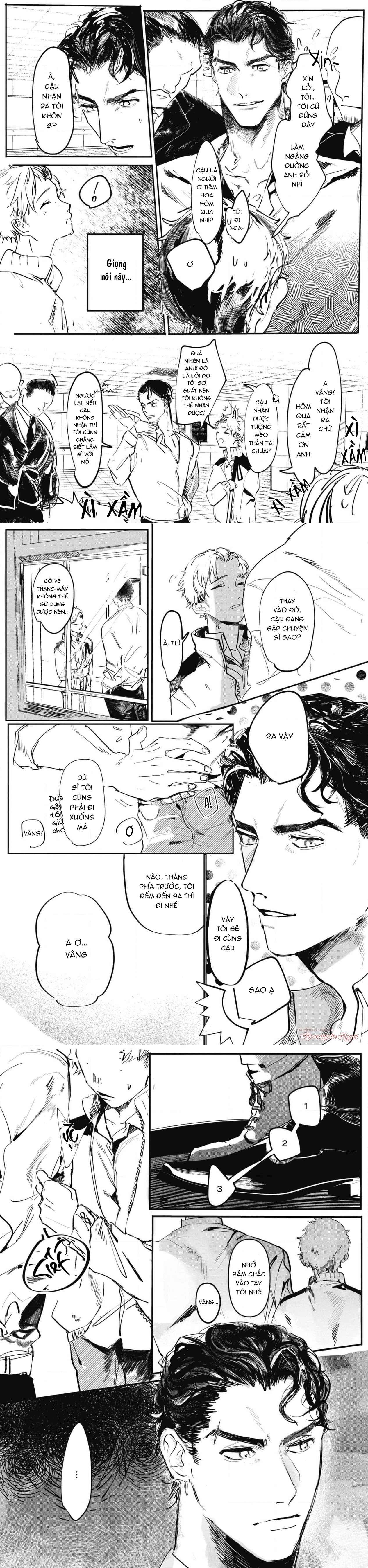 Đọc truyện Hắc Thú x Dạ Hoa - Chapter 1