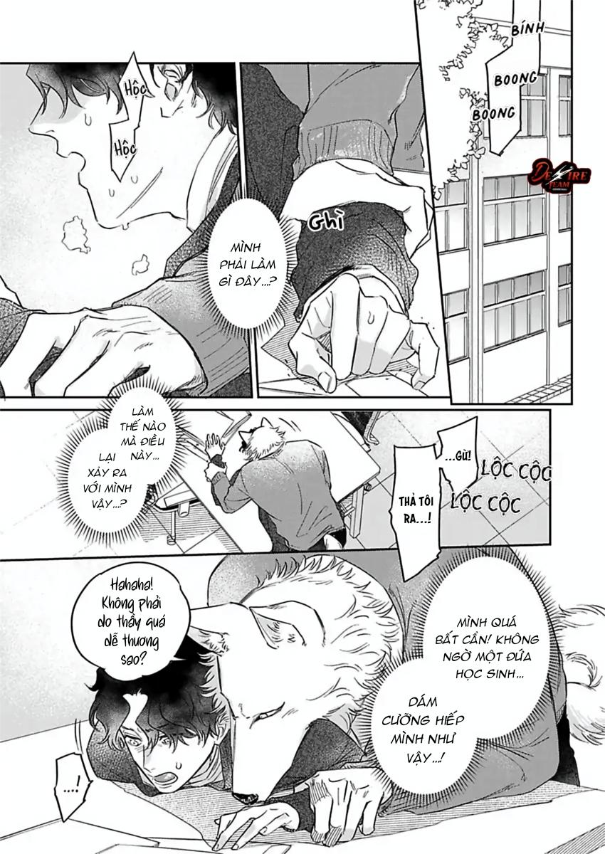 Đọc truyện Tình Yêu Mãnh Liệt Của Ngài Sói - Chapter 6