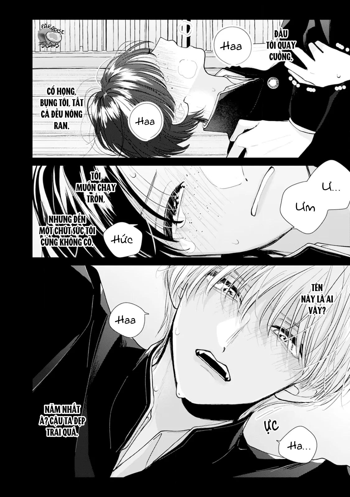 Đọc truyện Bó Hoa Dành Dành Và Sắc Xanh Mong Manh - Chapter 4