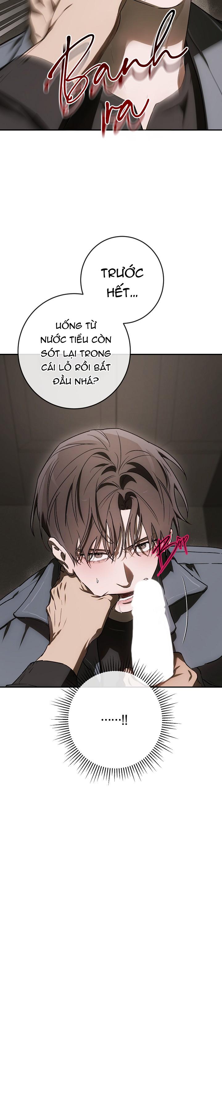 BẢO VẬT -  - Trang 15