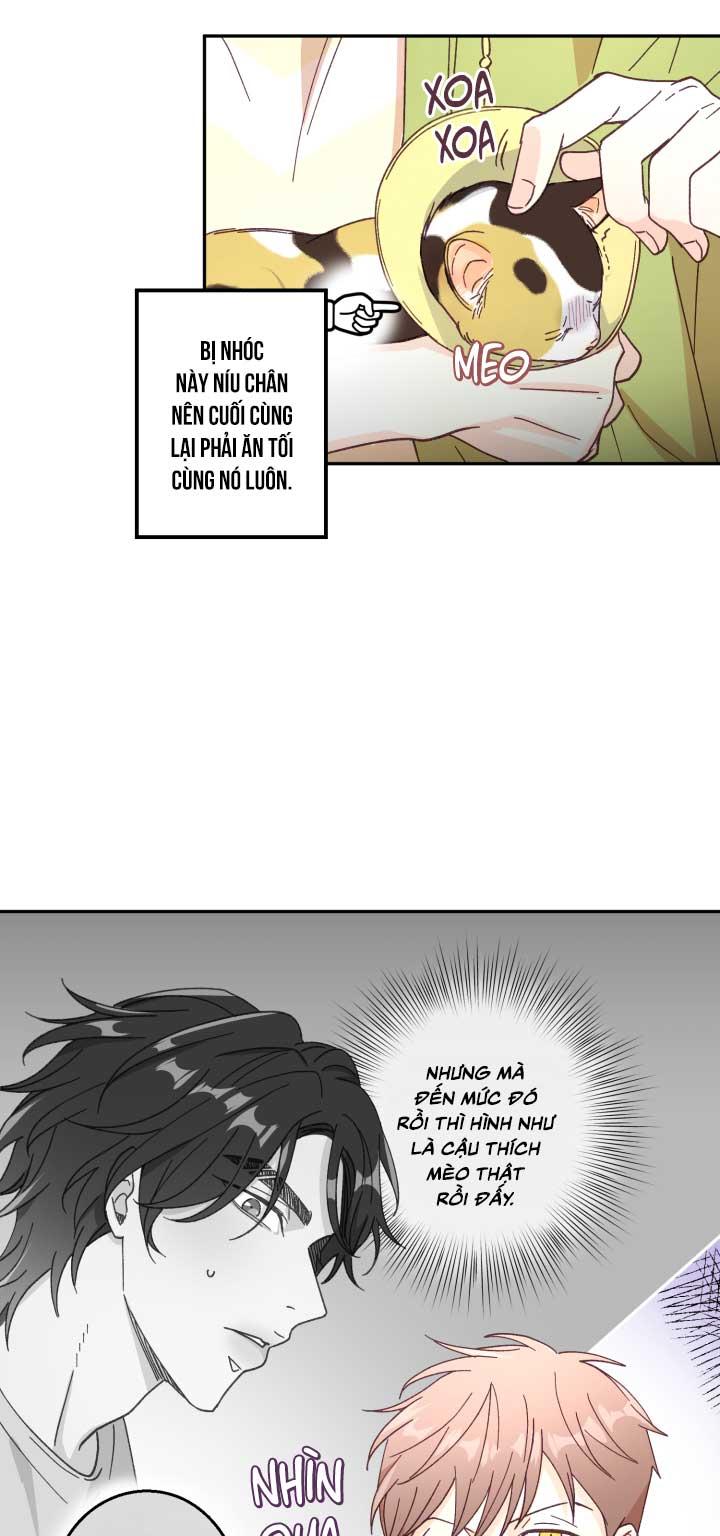 Đọc truyện NGƯỜI HÀNG XÓM QUYẾN RŨ CỦA TÔI - Chapter 3