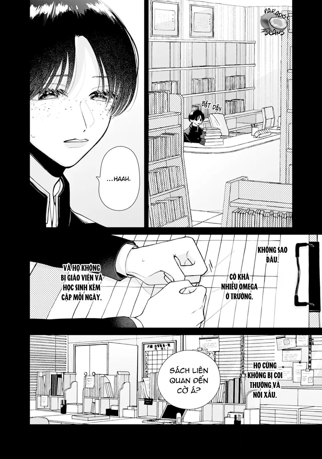 Đọc truyện Bó Hoa Dành Dành Và Sắc Xanh Mong Manh - Chapter 4