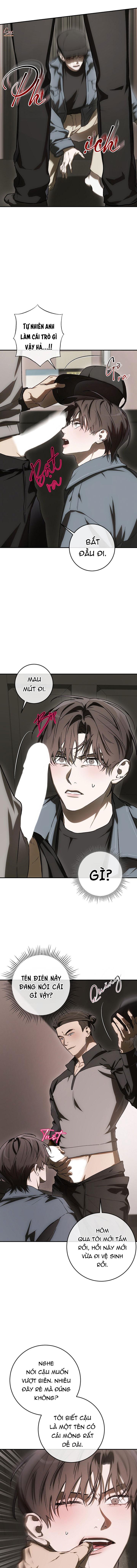 BẢO VẬT -  - Trang 14