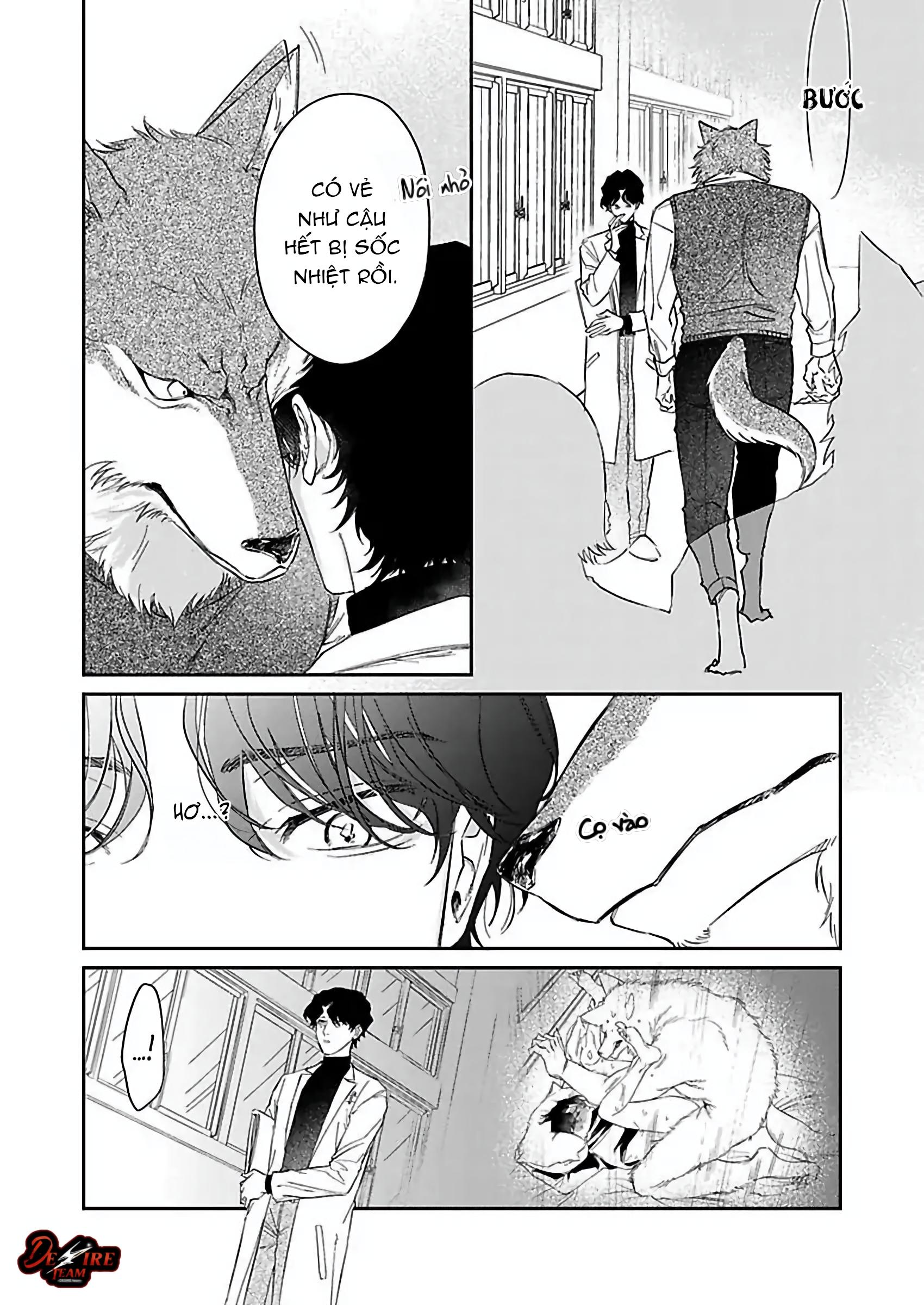 Đọc truyện Tình Yêu Mãnh Liệt Của Ngài Sói - Chapter 1