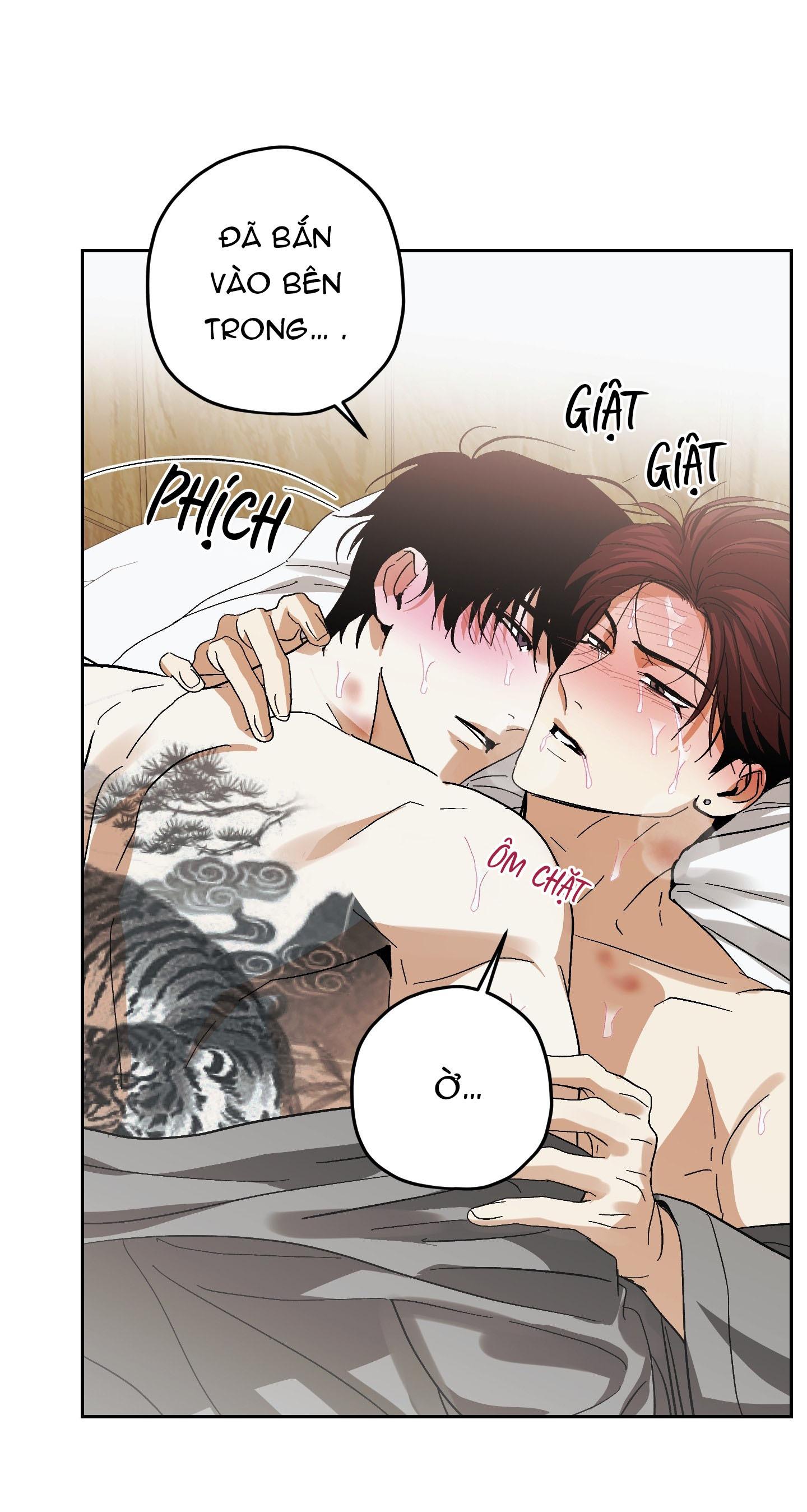 Đọc truyện TƯƠNG XỨNG - Chapter 14